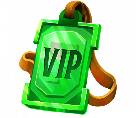 VIP Package